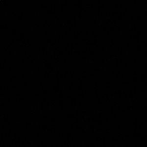 Meet your Posher, Lilly